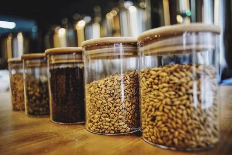 哪些種類(lèi)的麥芽適合做精釀啤酒呢？